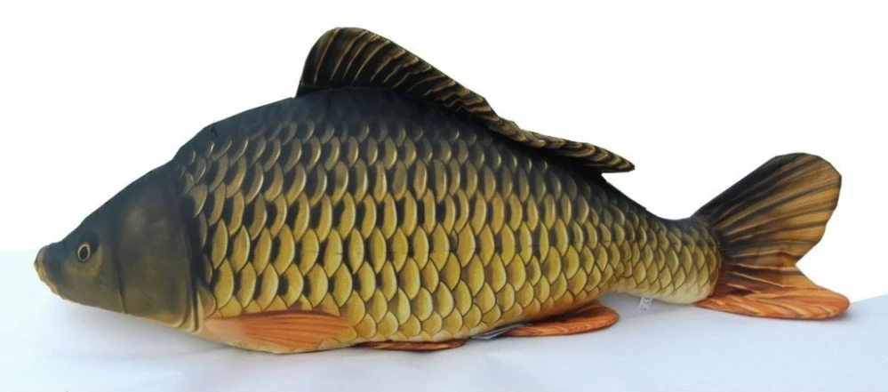 GABY - Polštář Kapr šupináč - 36 cm