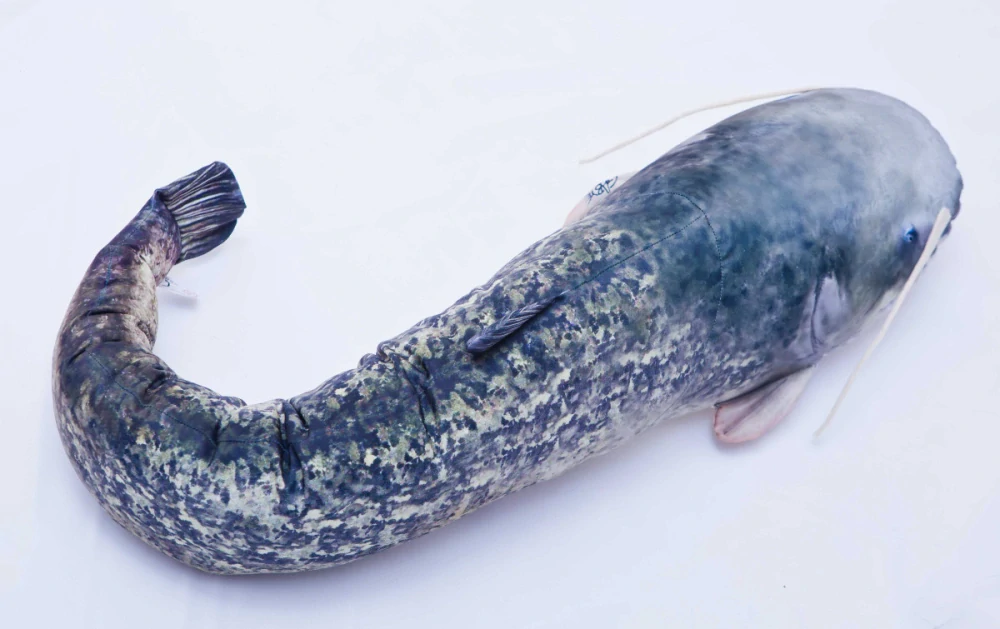 GABY - Polštář Sumec Monster - 200 cm